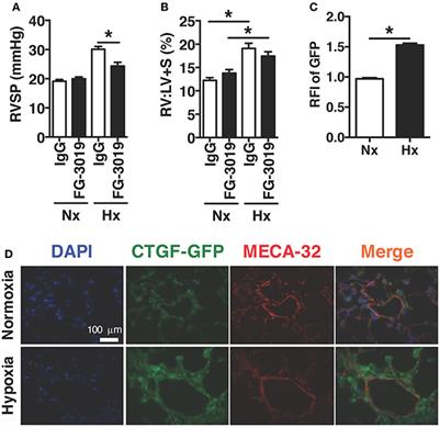 Vascular Endothelial Cell-Specific Connective Tissue Growth Factor (CTGF) Is Necessary for Development of Chronic Hypoxia-Induced Pulmonary Hypertension